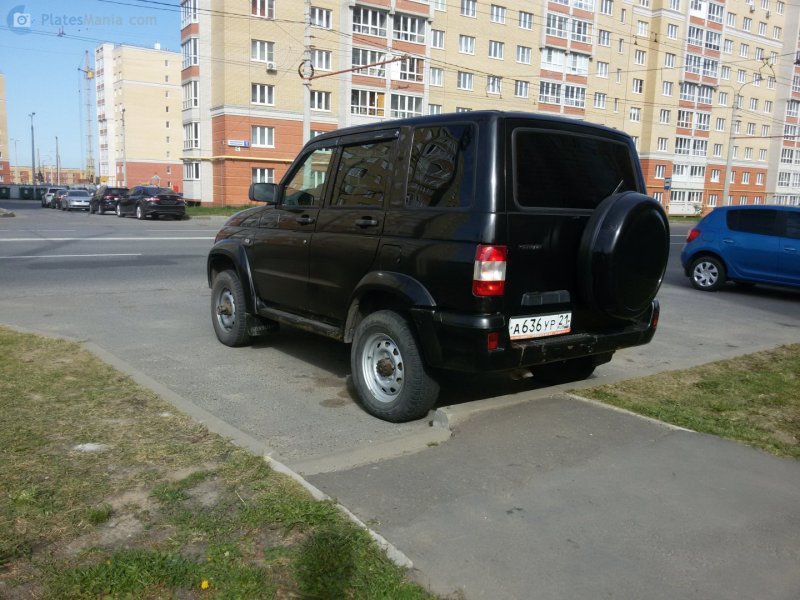 Св 3164-004