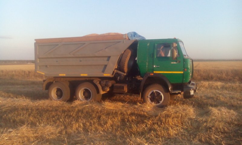 КАМАЗ 5511 на уборочной