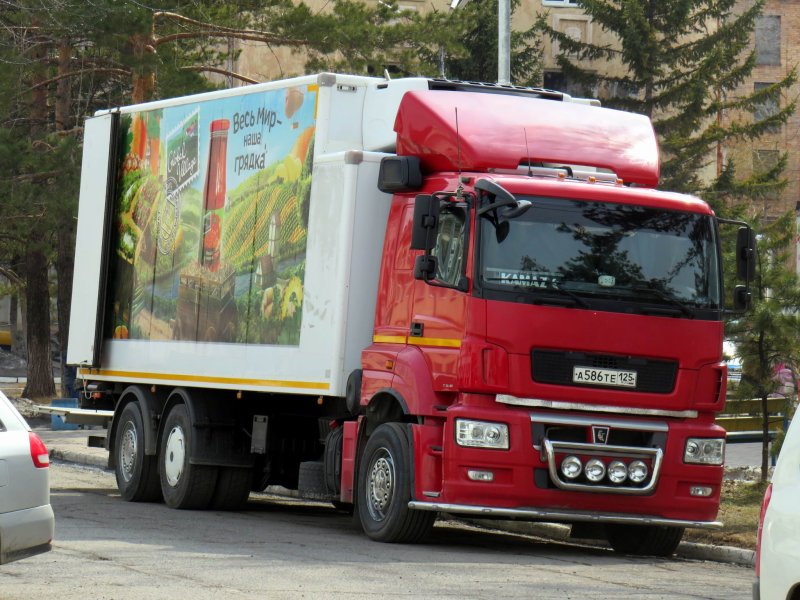 КАМАЗ 65208