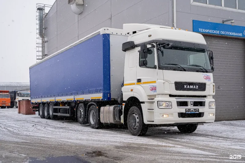 КАМАЗ 65209-002-87