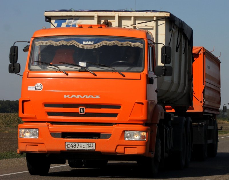 КАМАЗ 65116-7010-48