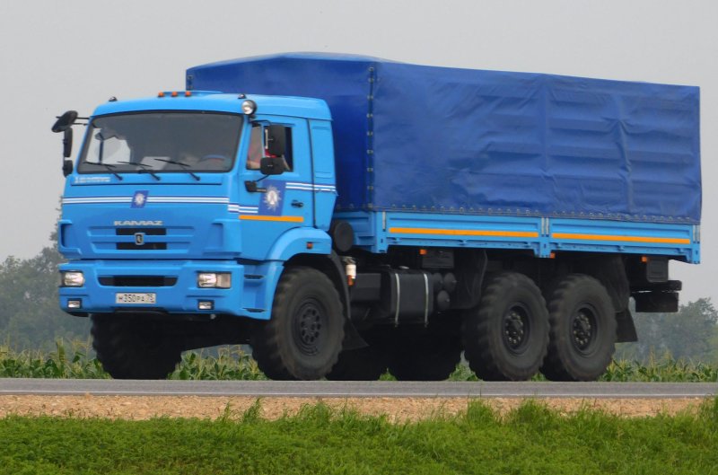 КАМАЗ 43118ас687445