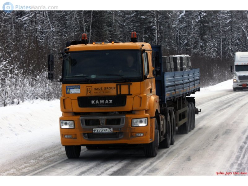 КАМАЗ 65206 сортиментовоз