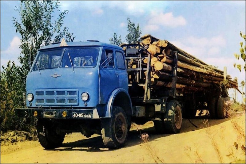 МАЗ-509 лесовоз