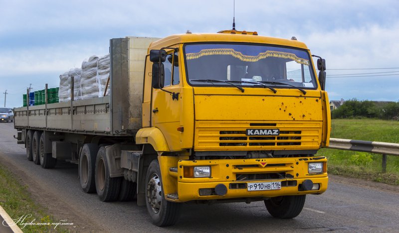 КАМАЗ 65116 т294рт