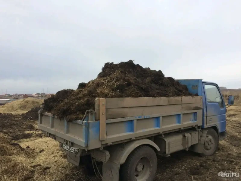 КАМАЗ перегной коровий