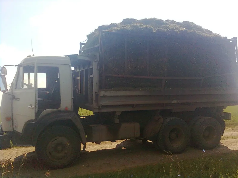 КАМАЗ 6520 Дальнобой