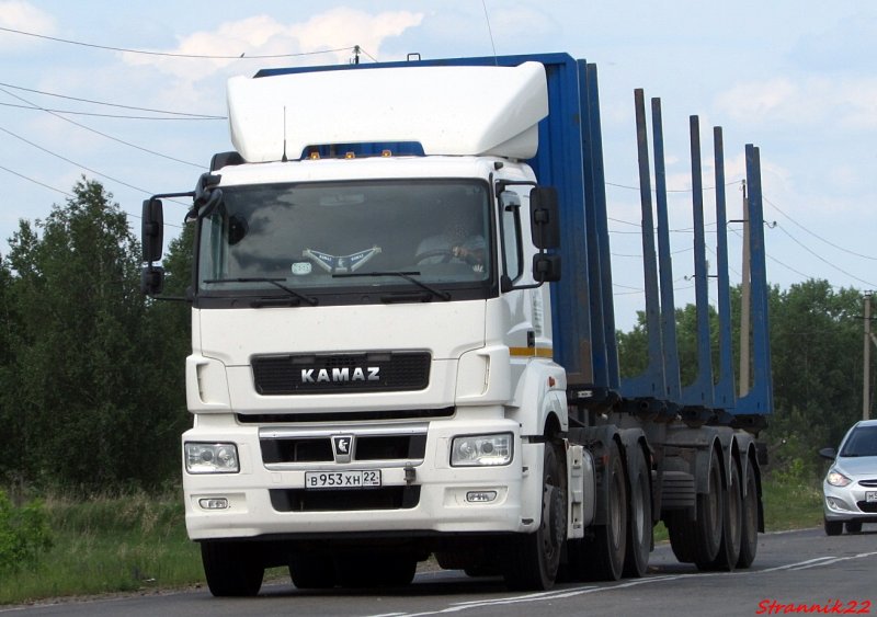 КАМАЗ 65206 сортиментовоз