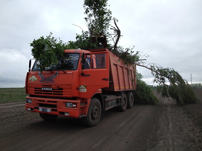 КАМАЗ 6520 Дальнобой