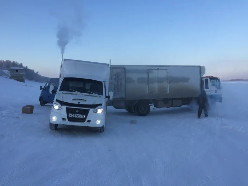 Газель на зимней дороге