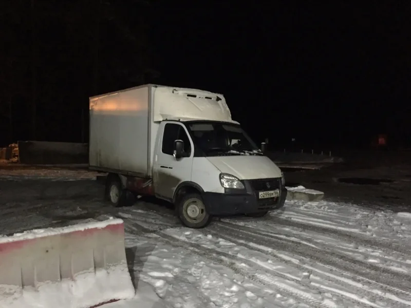 Газель зимой