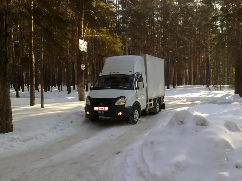 Газель зимой