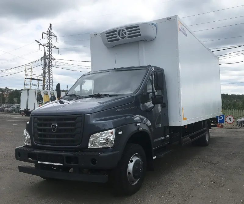 Луидор 3009z6