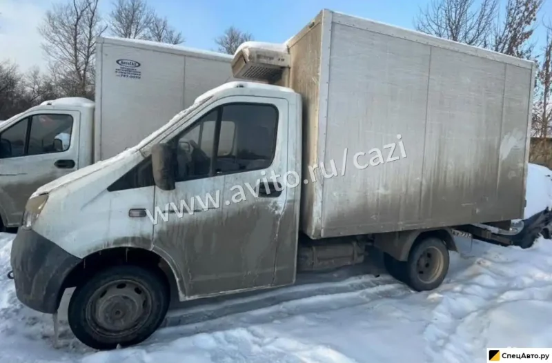 ГАЗ Луидор 3009z7