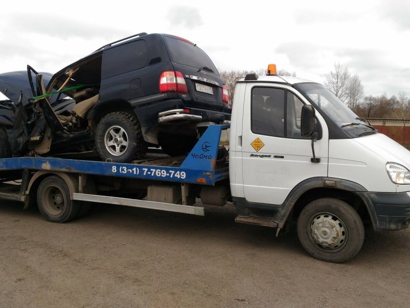 Чайка сервис 278404