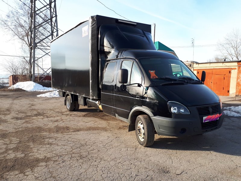 172461 Газель черная