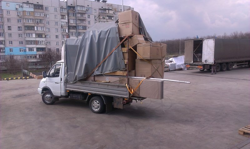 Приколы с газелью