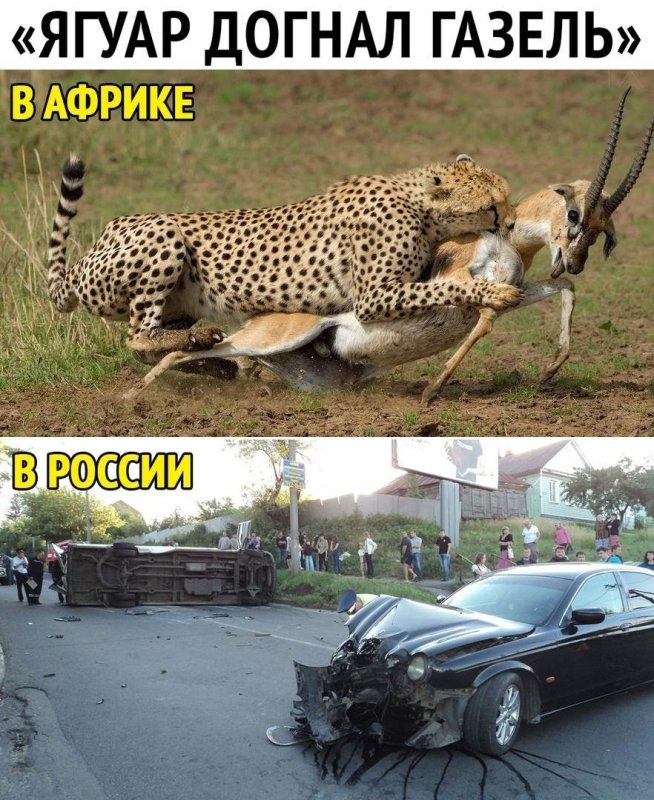 Автоприколы Газель