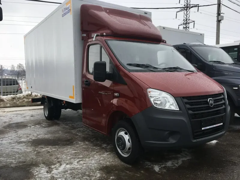 Газель 3009