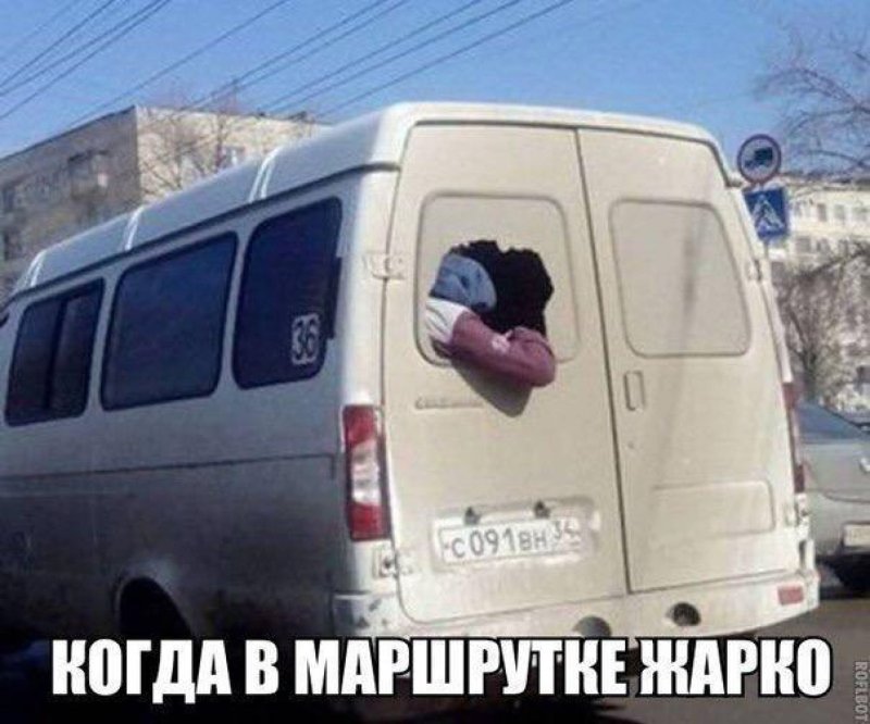 Гнилая Газель