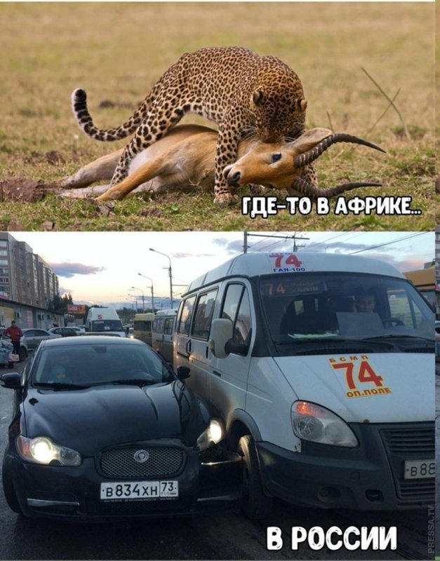Дюрасел на баллон ГБО