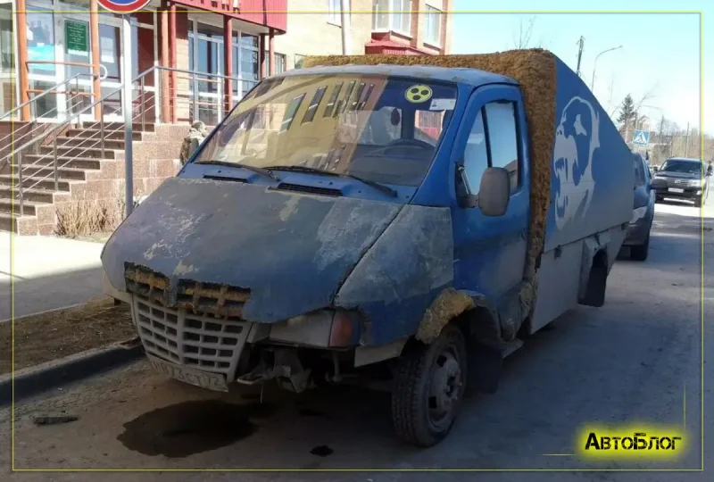 Убитая Газель