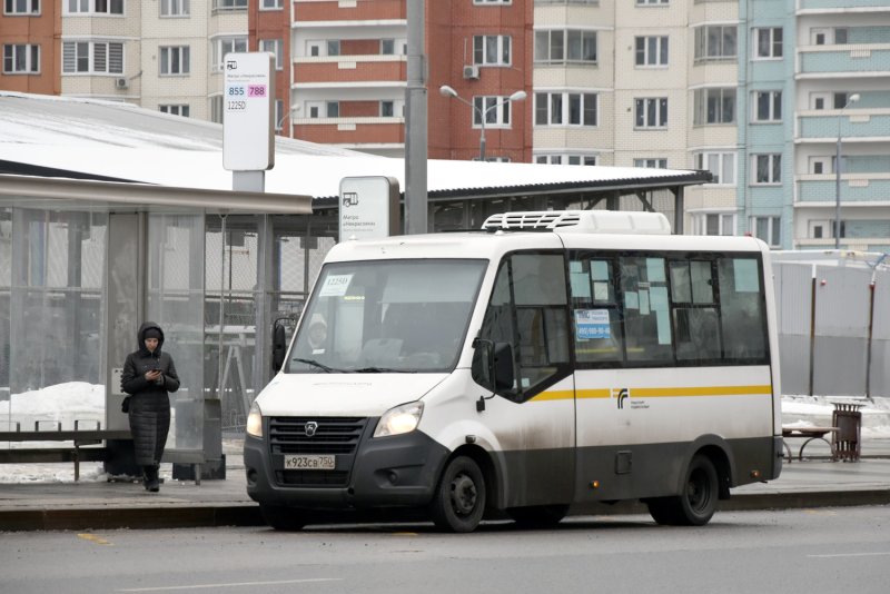 Автобус Газель Некст Луидор 2250 Мострансавто