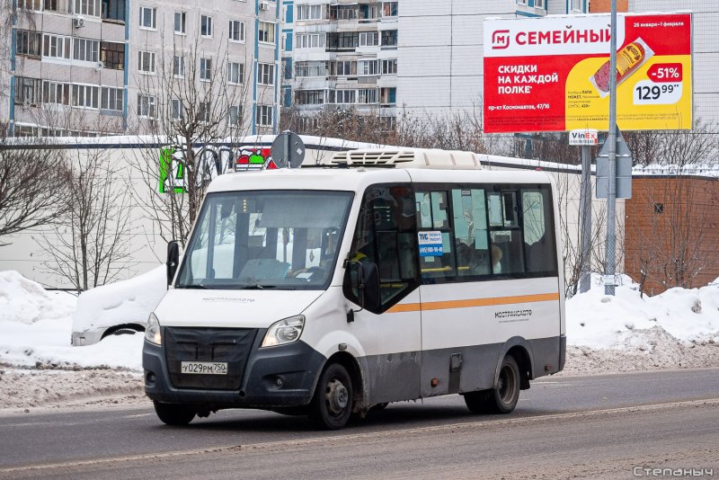 Луидор 2250ds