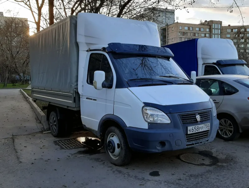 ГАЗ 3009 d1 фото 2016 год