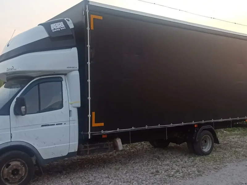 Газель 3009