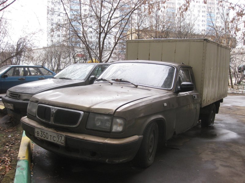 Волга Трофим