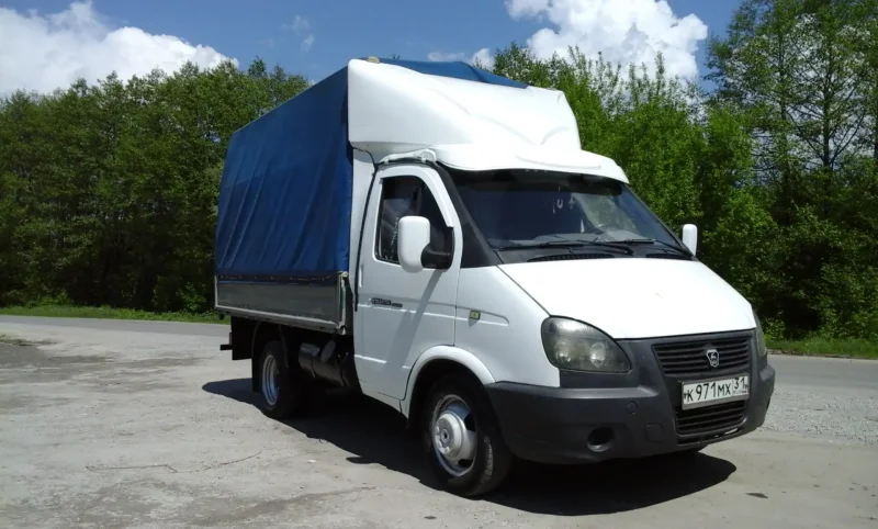 Газель гармошка Пилигрим