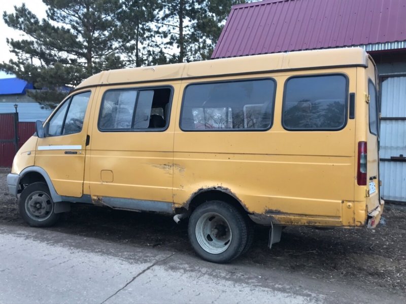 Газель пассажирская 2004