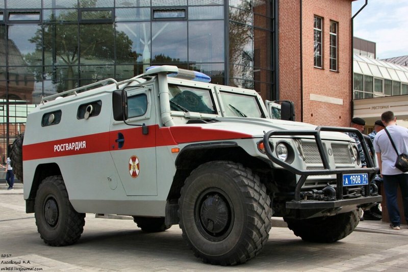 ГАЗ 2330 тигр 233001 салон