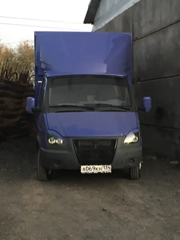 Газель сиреневая