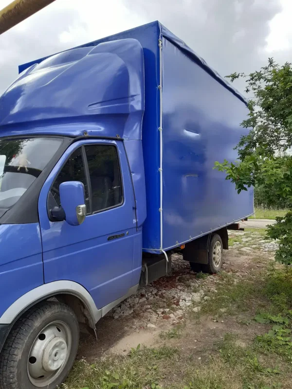 ГАЗ Газель 3302 фиолетовая