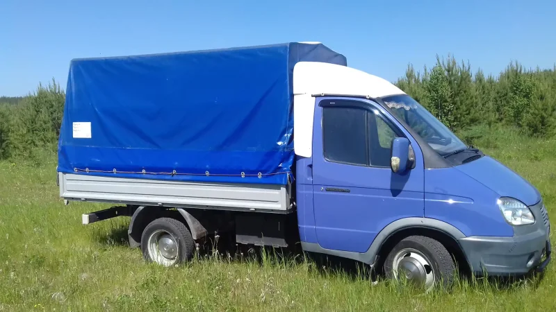 Gaz колпак колеса г-4111 next