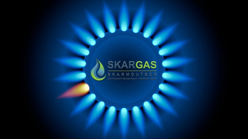 ГАЗ 3308 Садко