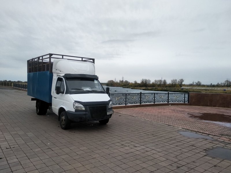 ГАЗ-3302-288 «Газель-бизнес»