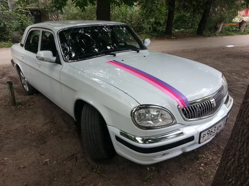 Волга ГАЗ 31 15