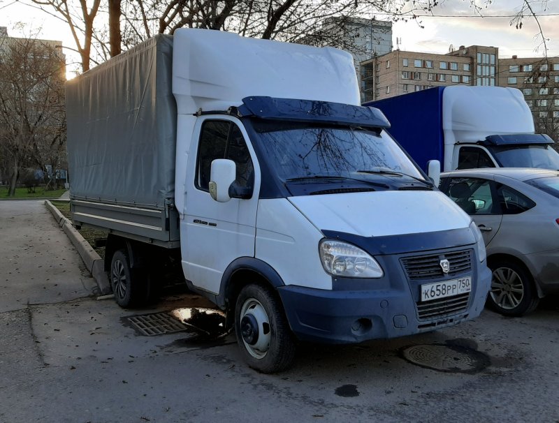 Газель 3009 TF