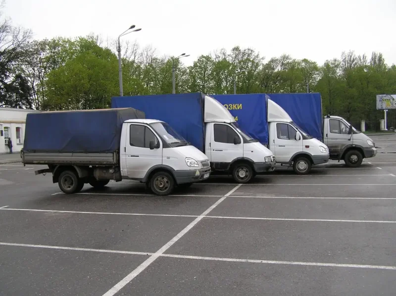 Автопарк газелей
