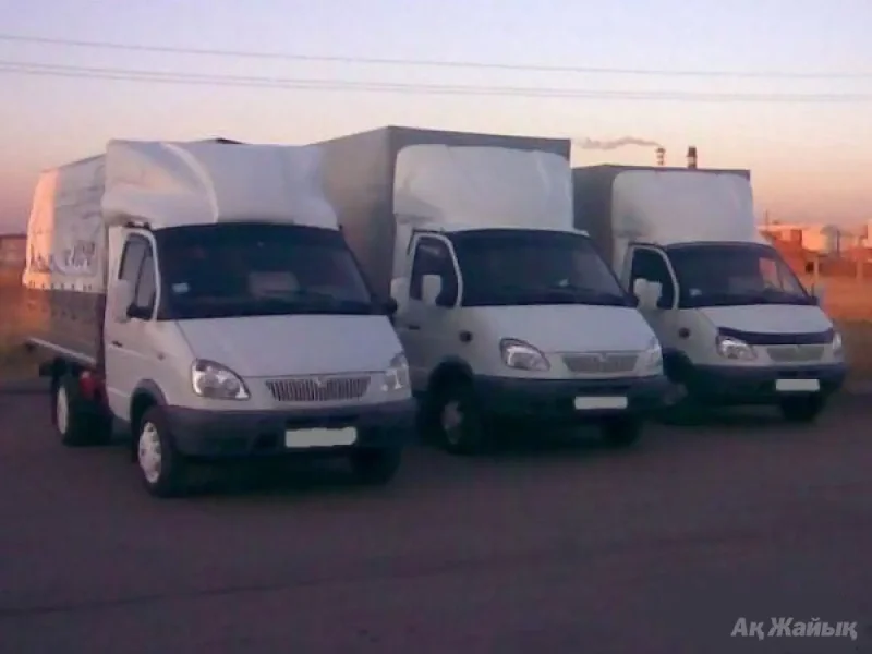 Очередь газелей