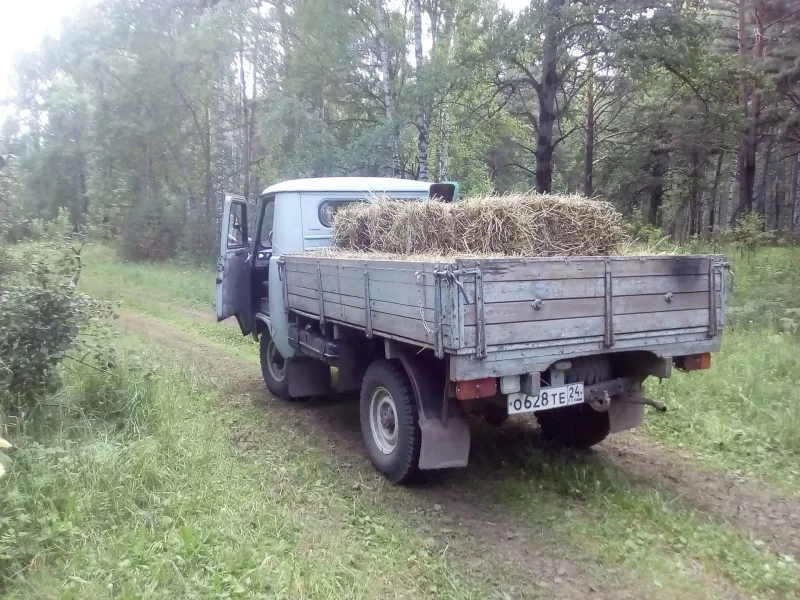 Газель 3303