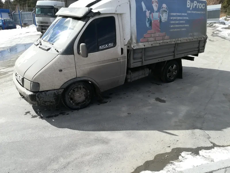 Газель желтая