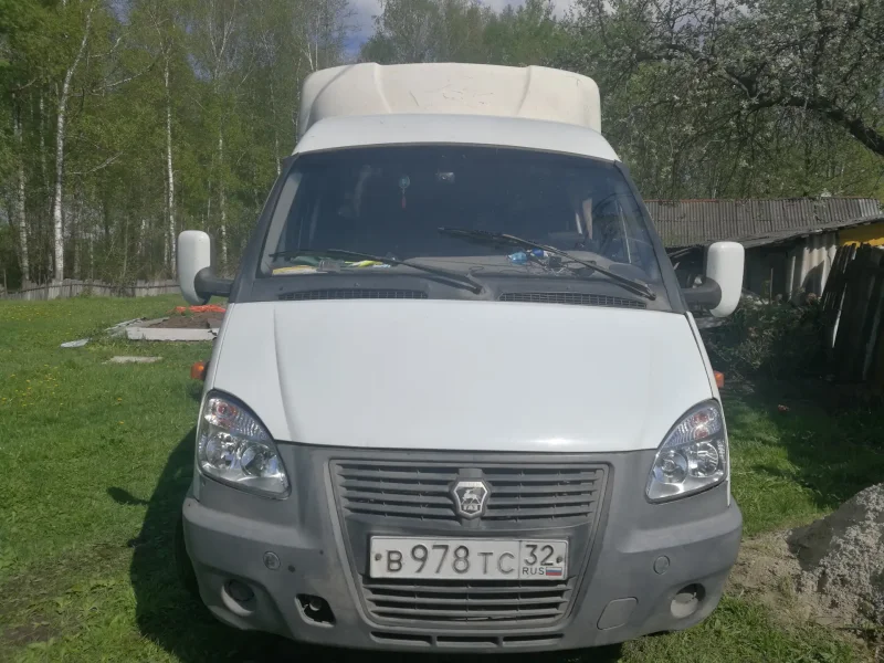 Морда газели 402