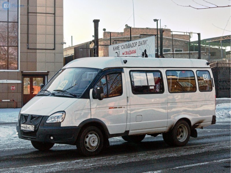 ГАЗ 3221 Дельфин