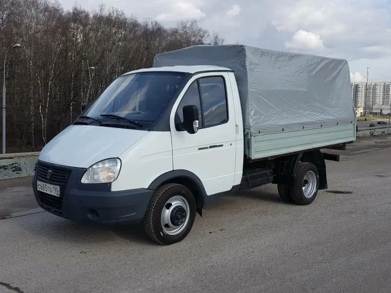 Маленькие газели