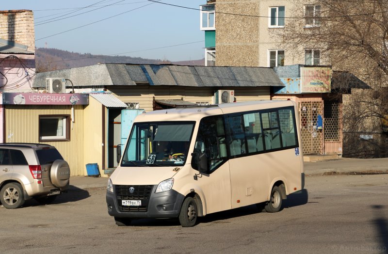 ГАЗ 3102 вид с боку