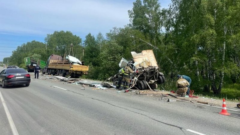 Грузовой Газель 3035кс